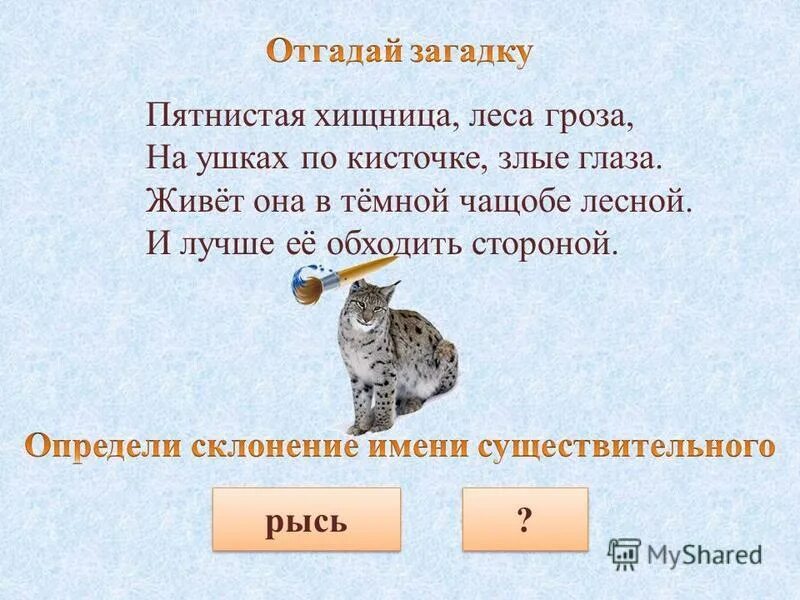 как определить род имен существительных. род имени существительного рысь. признаки имен существительных. существительное род. род имени существительного рысь.