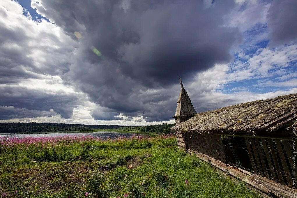 Кенозерский парк сайт. Кенозеро национальный. Кенозеро национальный парк. Кенозерский национальный парк Порженское. Кенозерский национальный парк Архангельская область.