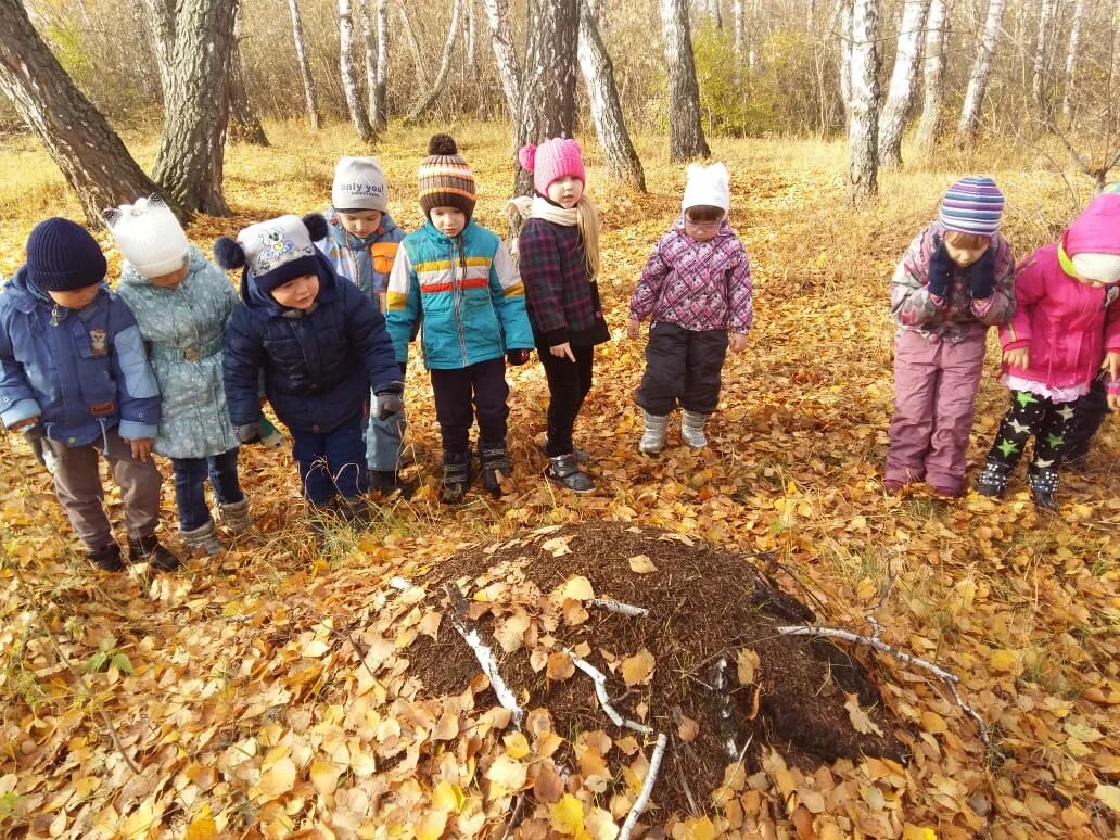 Наблюдать осенний. Наблюдения осени. Наблюдения за осенней природой 2 класс. Осенние наблюдения в природе 2 класс. Наблюдения за осенью 2 класс.