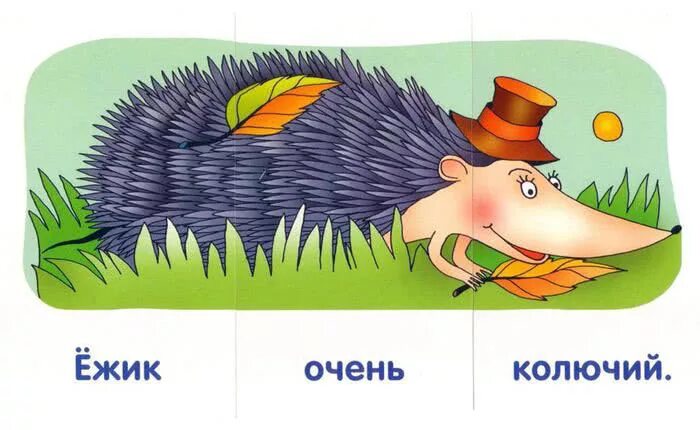 Колючий составить предложение