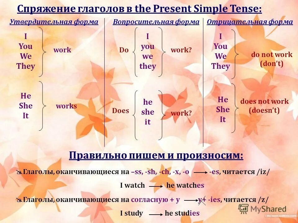 Read в present continuous. French conjugation. глагол speak в present simple. правильная форма глагола present simple. Conjugation of verbs in french.