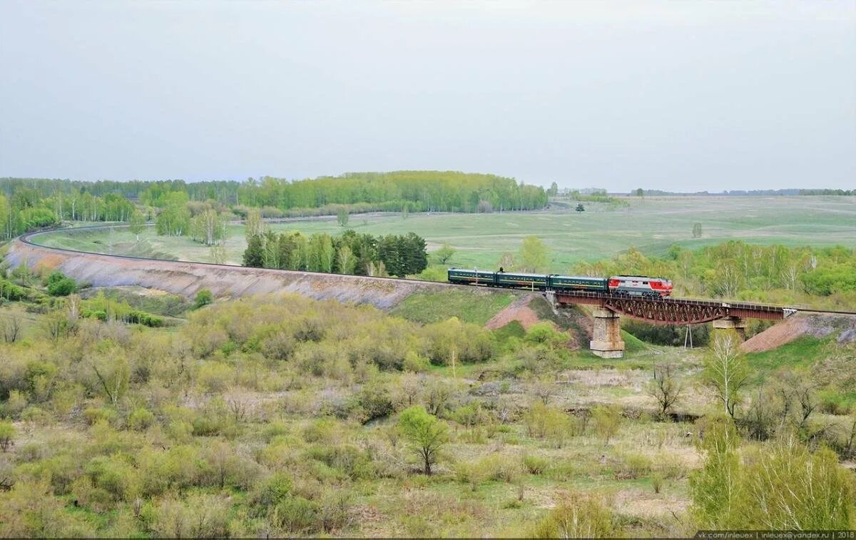 Железные дороги алтайского края