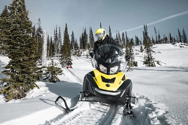 Ski-Doo Expedition le 900 Ace. Ski Doo Expedition 800 e-Tec. BRP Expedition 1200. Снегоход BRP 1200 Expedition. Ski doo expedition se