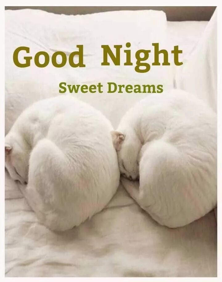 Good night картинки прикольные. Доброй ночи на английском языке. Доброй ночи дисней. Открытка спокойной ночи на английском языке. Good night перевести на русский.