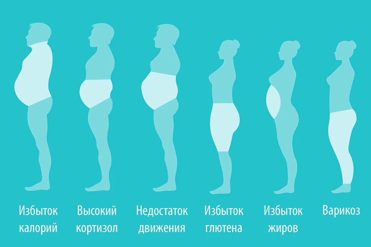 Тип вес. Ожирение 1 степени. ожирение 1 степени у девушек. типы и степени ожирения. ожирение по типу живота.
