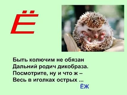 Несть бо тайно еже не явленно будет