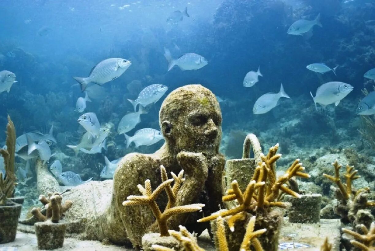 Кто живет на дне морском. Канкун Мексика подводный музей. Остров Исла Мухерес подводный музей. Музей подводных скульптур в Канкуне.
