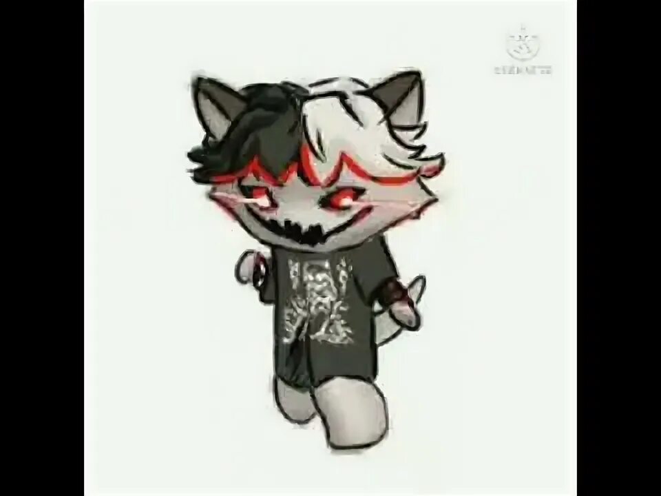 Канеки кот zxcursed. Кот гуль танцует. Zxcursed кот гуль. Zxc кот видео. Shadowraze кот.