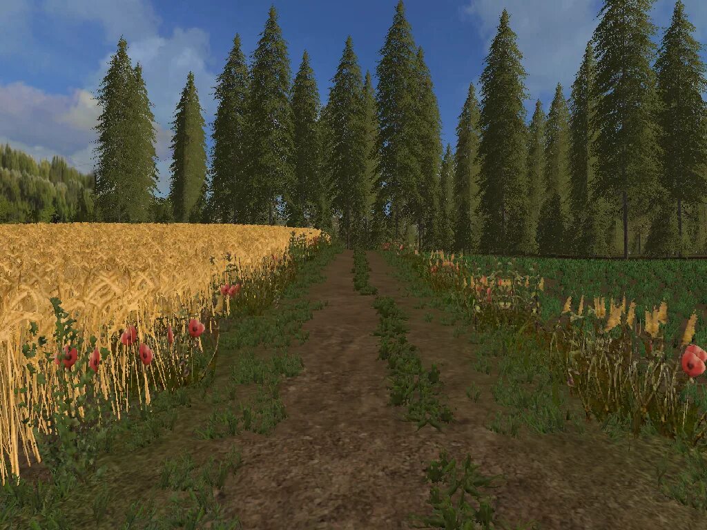 Fs path c