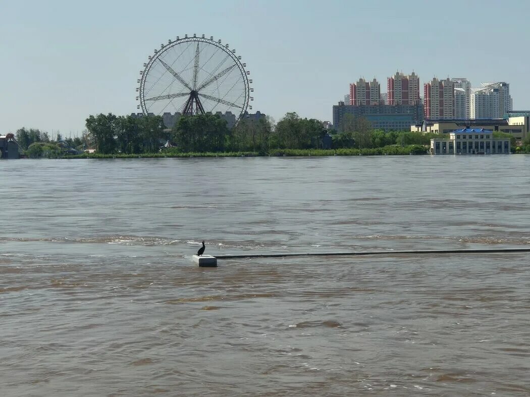 Набережная Амура в Благовещенске. Хабаровск набережная Амура. Набережная в Хэйхэ возле Амура. Проект набережной Благовещенск на реке Амур.