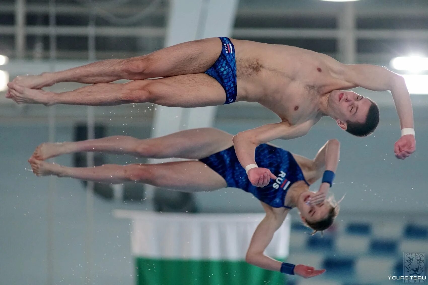 Прыжки в воду. Виктор Минибаев speedo. Елизавета Кузина прыжки в воду. Илья Молчанов прыжки в воду. Аркадий Айдаров прыжки в воду.