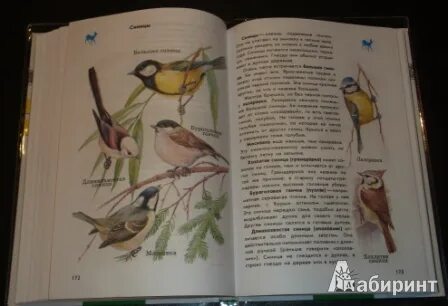 Атлас определитель животных 3 класс окружающий мир
