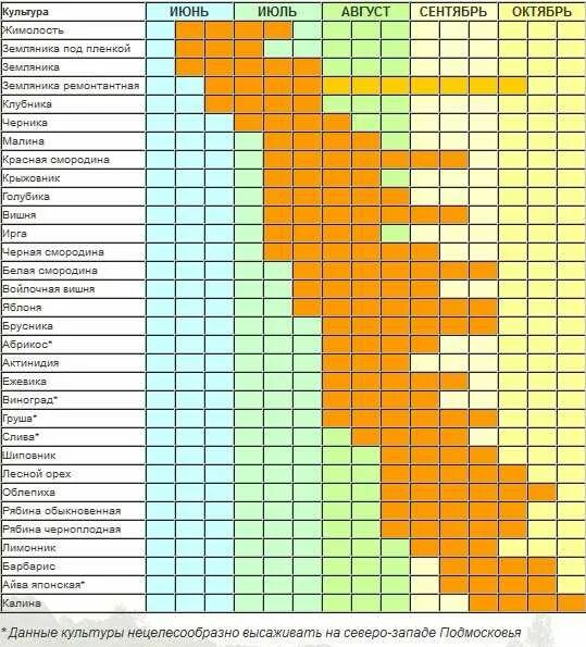 Календарь яблоня. График созревания плодов и ягод в Московской области. Сроки созревания плодовых деревьев. Сроки созревания фруктов и ягод. Таблица сроки созревания ягод.