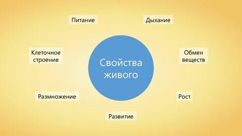 Клеточное строение свойство живого примеры