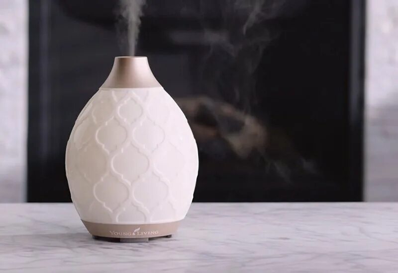 Диффузор ливинг. Диффузор desert mist diffuser. диффузор young living desert mist. аромадиффузор essential oil diffuser. ваза ливинг 1.