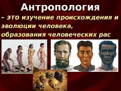 Наука которая изучает происхождение человека