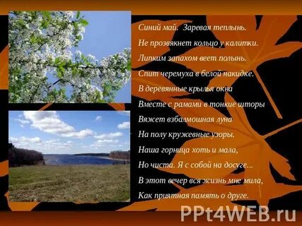 Веет запахом