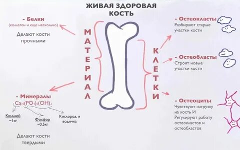 Кости трутся