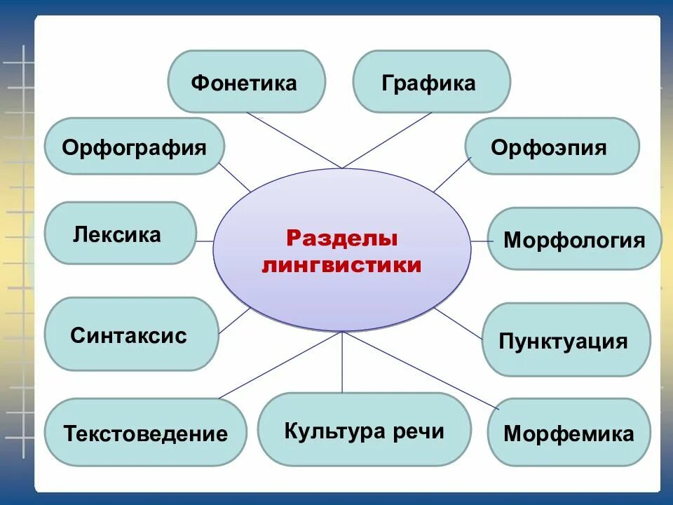 Какие основные разделы. Разделы лингвистики таблица. разделы лингвистики схема. разделы языкознания схема. разделы языкознания в русском языке.