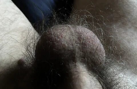 Pictures of hairy balls ✔ michel596666 Twitterissä: "Mmmmmm ! 👅 👅 👅...