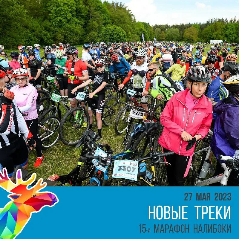 Дорога жизни марафон фото. Здравствуй песня пластинка. Фестиваль «марафон народной культуры. Рок-марафон. Налибоки 2022 веломарафон.