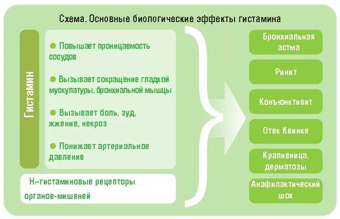 Повысить гистамин. Продукты содержащие гистамин. Содержание гистамина в продуктах. Продукты без гистамина. Гистаминные ЛИБЕРАТОРЫ.