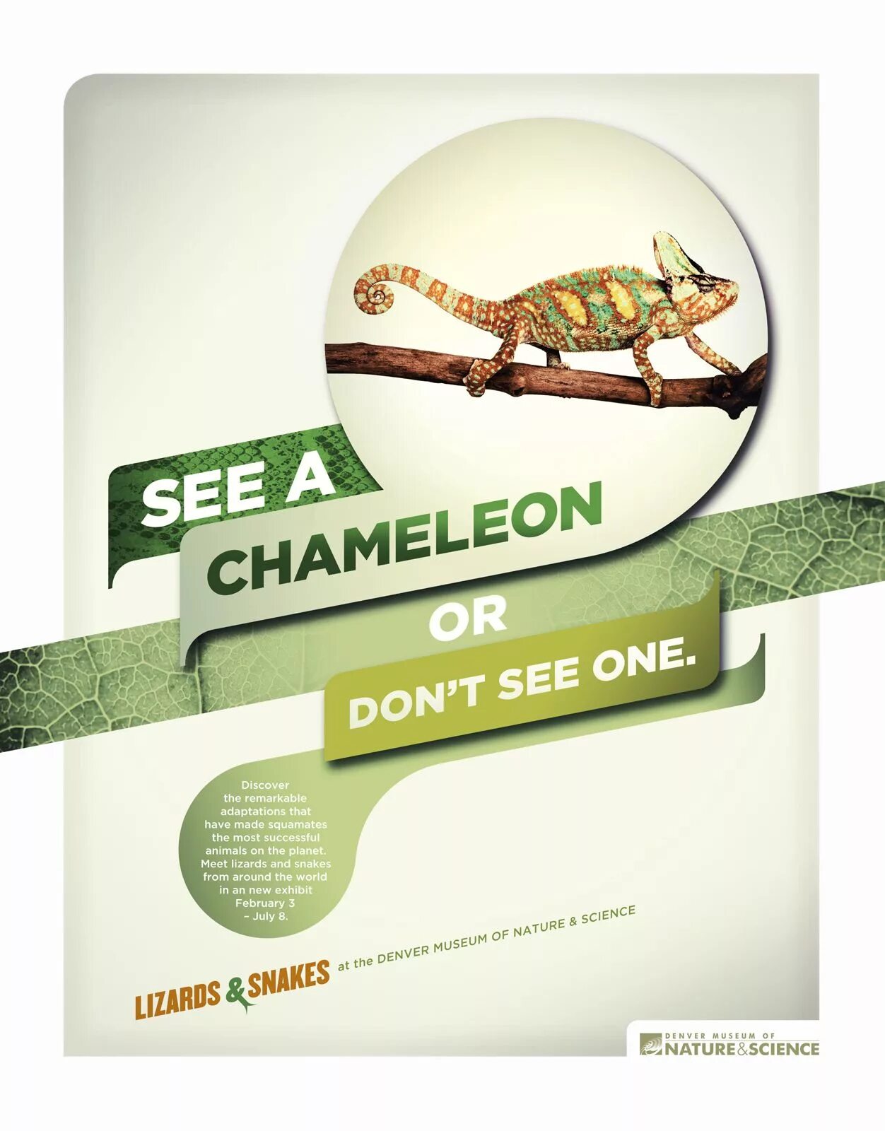 Хамелеон том 1 читать. Хамелеон реклама. Хамелеон реклама дизайн. Хамелеон на рекламной вывеске. Двусторонний хамелеон реклама.