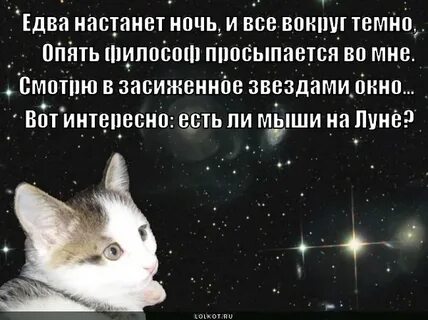 День растает ночь настанет