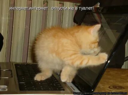 Не отпустили в туалет