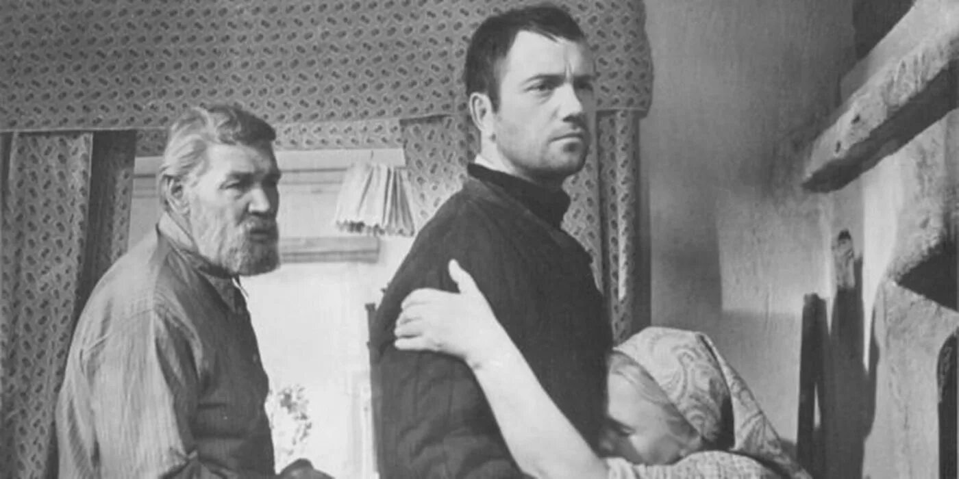 Кинофильмы шукшина. «Ваш сын и брат» (1965) Шукшин.