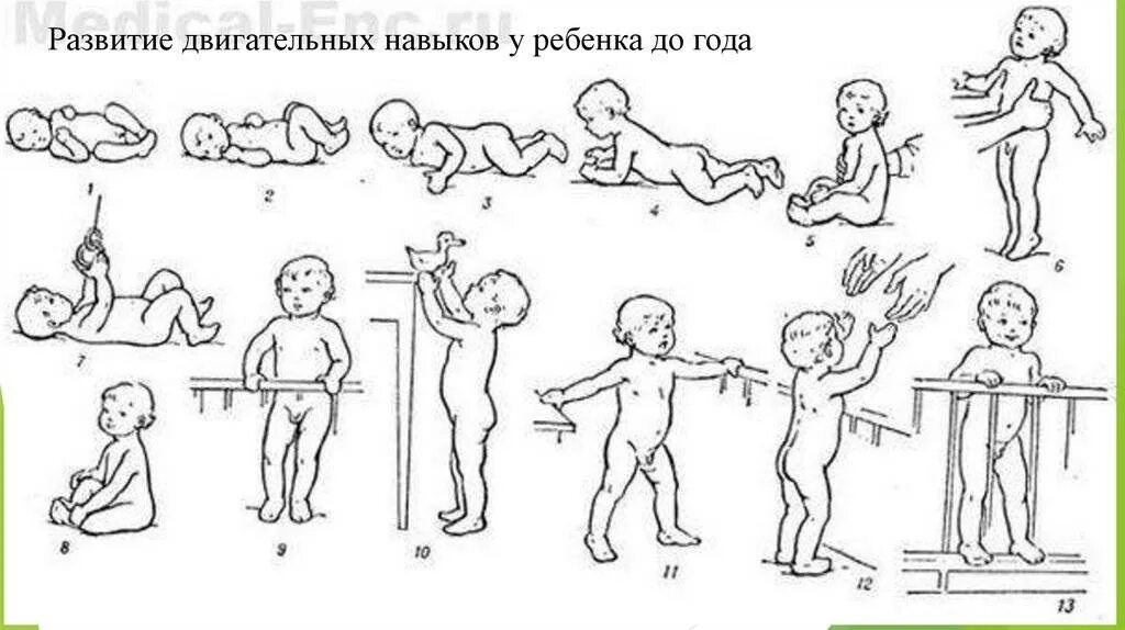 Поэтапное развитие ребенка. Этапы развития ребенка. Этапы двигательного развития ребенка. Этапы развития движения ребенка до года. Этапы двигательного развития ребенка до года.