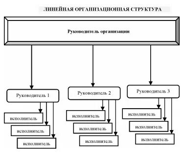 Виды организационных принципов