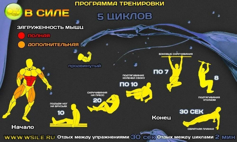 Тренировки пресса приложение. Программа тренировок. тренировки в домашних условиях. тренировки для начинающих. программа тренировок на силу.