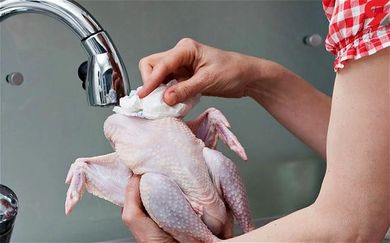 Можно ли мыть мясо. Можно ли мыть мясо