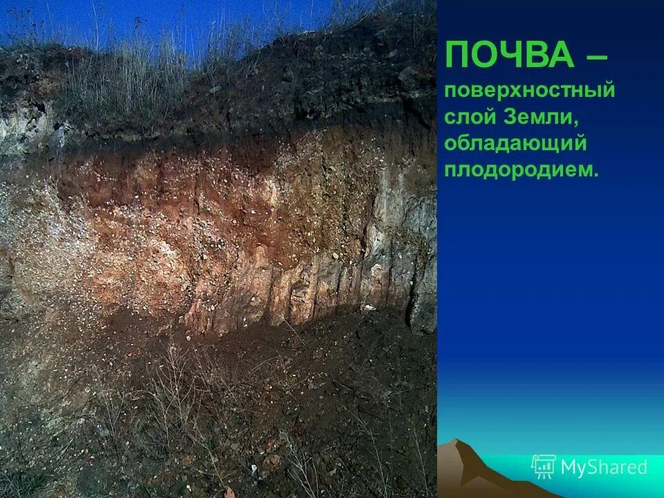 поверхностный слой обладающий плодородием. жидкие твердые и газообразные загрязнители почвы. минеральный слой почвы это. межфазное почвы. рассказ о почве.