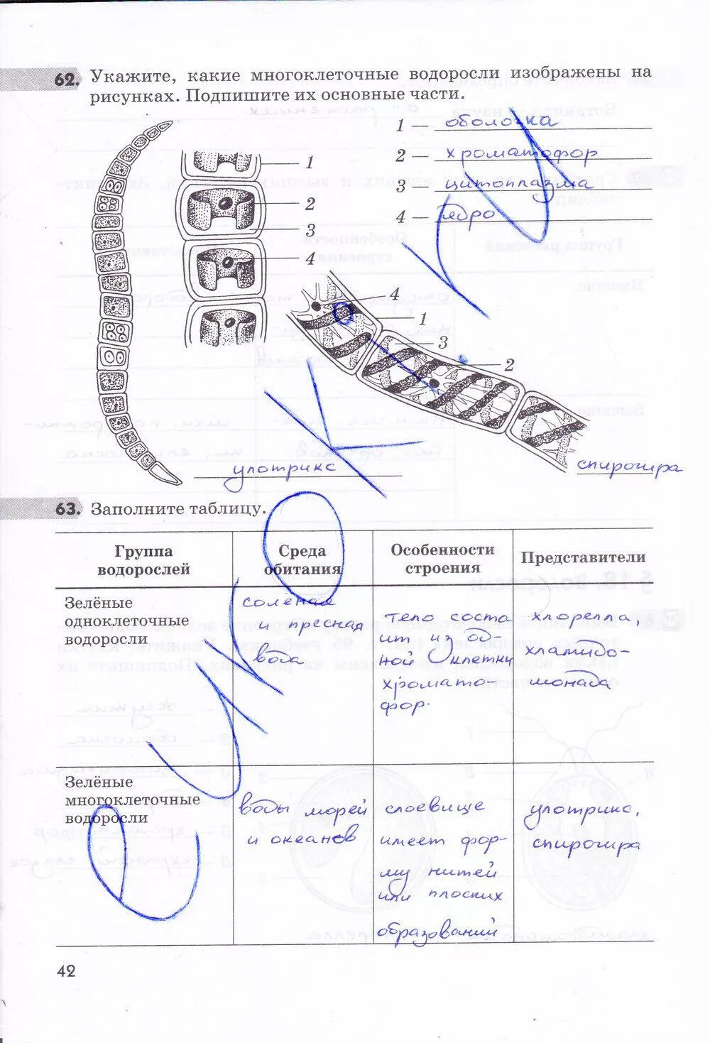 Биология 5 класс рабочая тетрадь стр 76. Пасечник биология рабочая тетрадь 5 класс Дрофа. Гдз биология 5 класс рабочая тетрадь Пасечник. Биология 5 класс пасечбиология 5 класс. Рабочая тетрадь по биологии 5 класс Пасечник с.42.