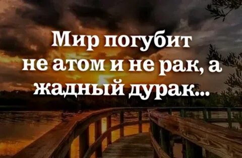 Порю каждый день