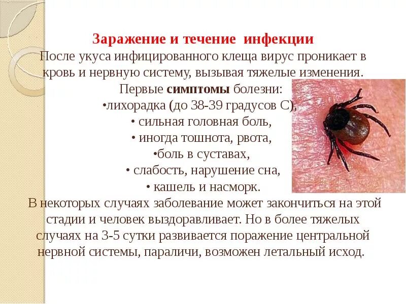 Энцефалит что это за болезнь. Инфекционный клещевой боррелиоз симптомы.