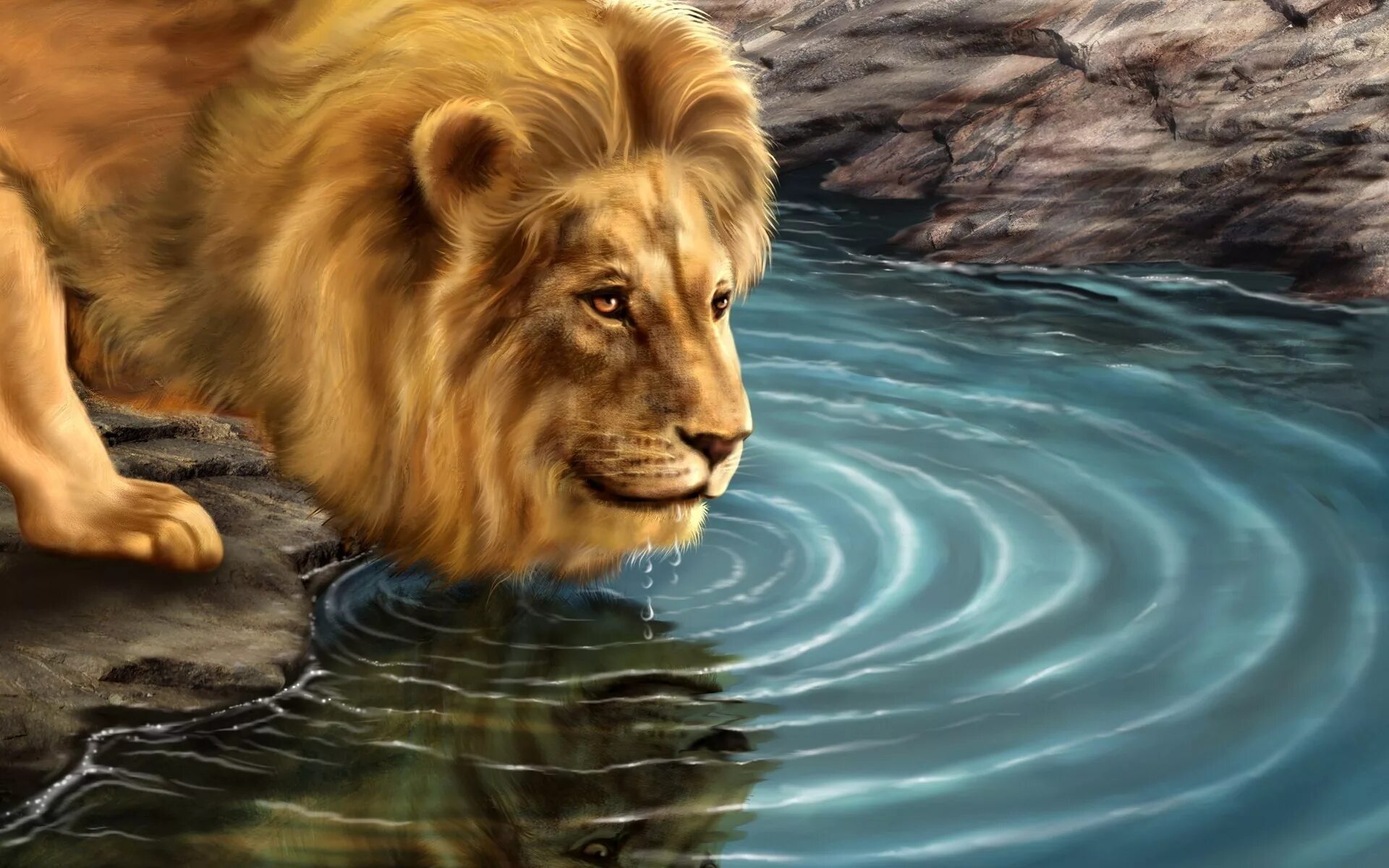 Лев рисунок. Лев в воде картина. Отражение Льва в воде. Лев в реке.