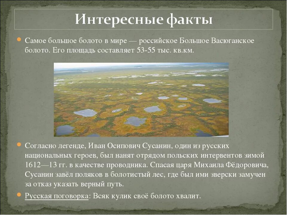 Какие болота питаются только атмосферными осадками. Васюганские болота, западная сибирь. васюганские болота заповедник на карте. большое васюганское болото на карте россии. площадь васюганских болот в томской области.
