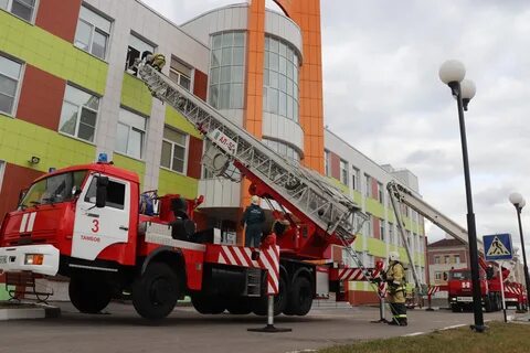 Пч 3 5