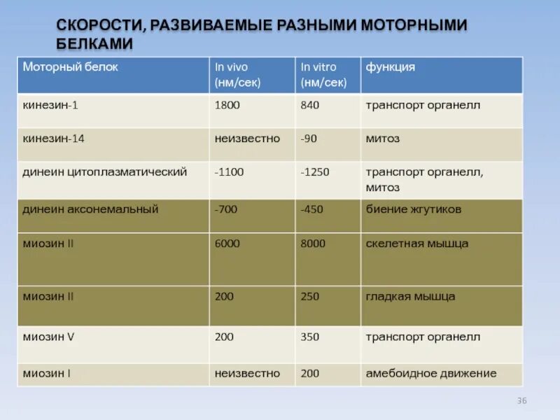 С какой скоростью развиваются технологии. Скорость познавательное. Двигательные белки. Мотор белок. Разная скорость белков.