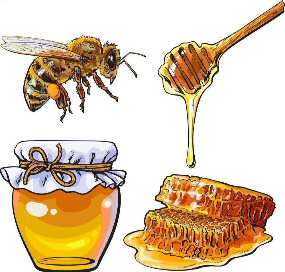 Нектар рисунок. Пчелы и мед. Мед на белом фоне. Соты пчелиные рисунок. Пчеловодство рисунок.