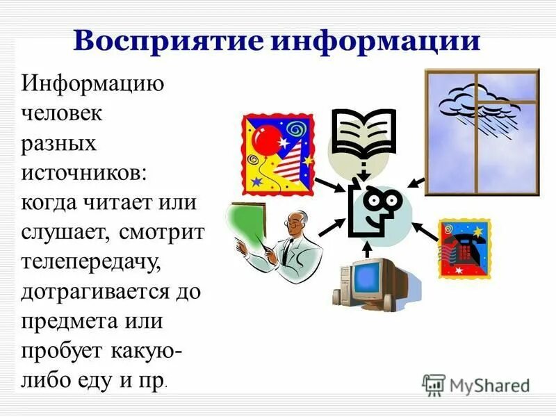 Информатика 7 класс сообщение на тему. Свойства информации. Свойства информации иллюстрации. Информация ее виды и свойства. Информация виды информации Информатика.