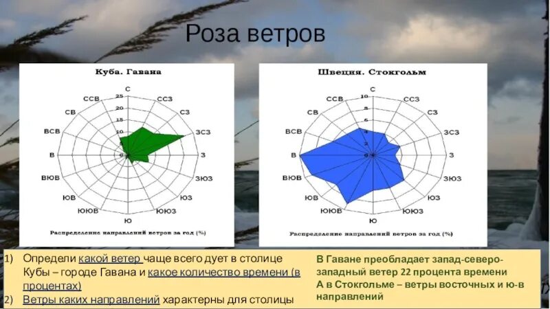 Каких ветров наибольшее количество. Ветер какой на ветер. Какой ветер чаще всего. В какую сторону чаще всего дует ветер. В каком направлении дует Западный ветер.