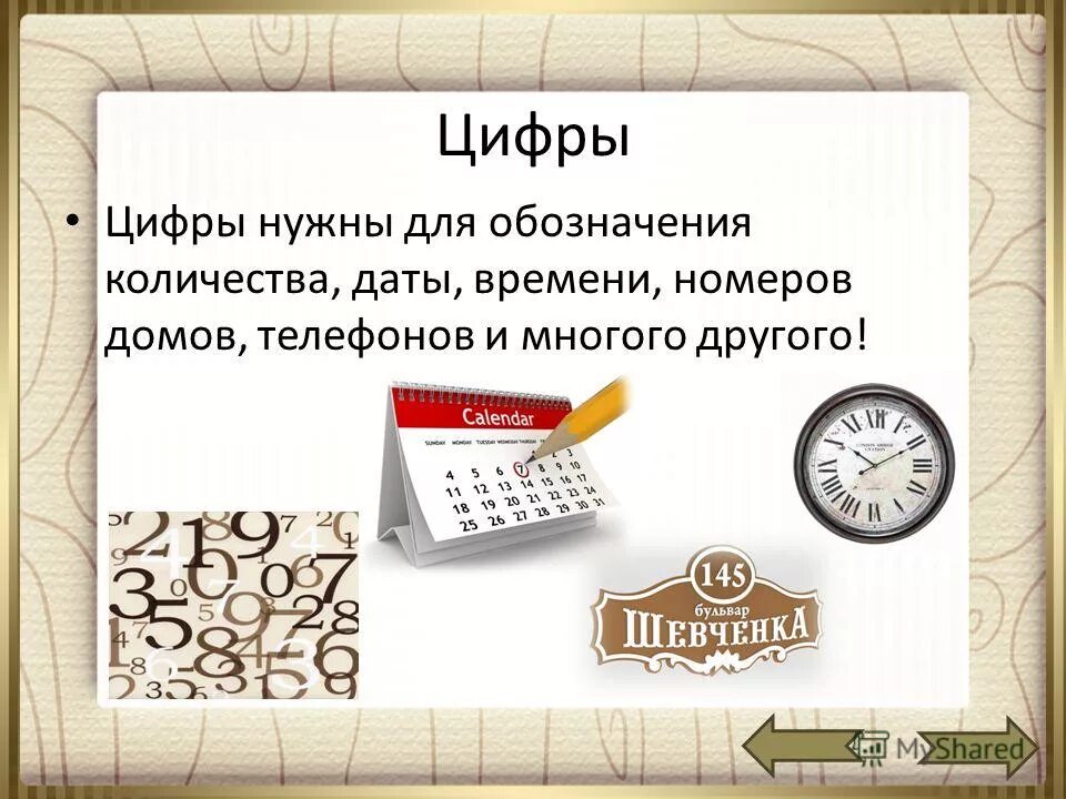 Число и дата. Число и дата