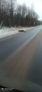 Водитель рыбинск