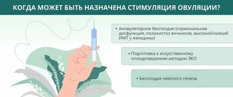 Стимуляция в геншине