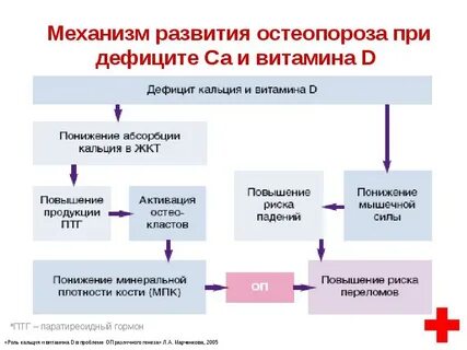 Остеопороз при недостатке витамина