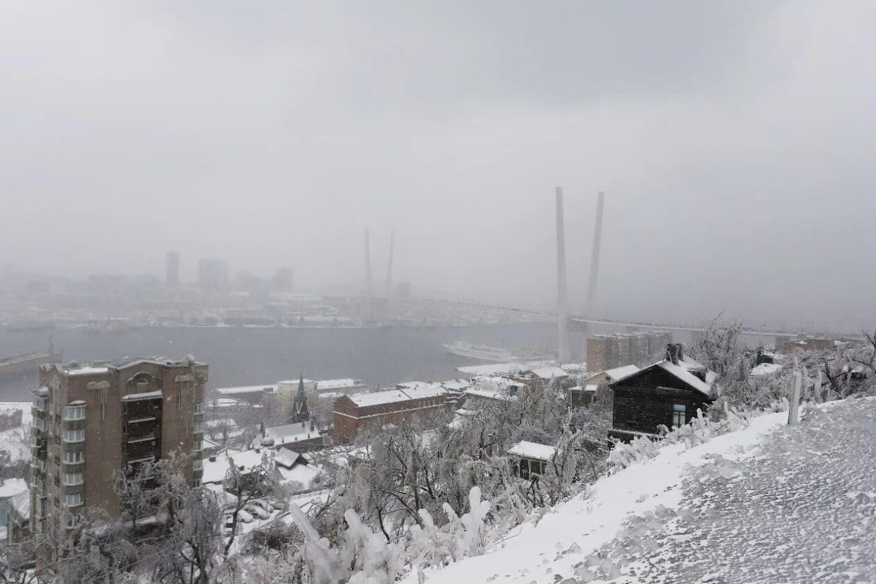 Приморье непогода. Ледяной дождь во Владивостоке 2020. Самый сильный снегопад во Владивостоке. Катаклизмы в Приморском крае.